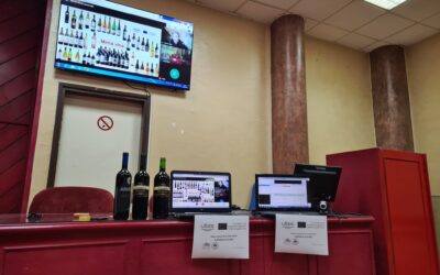 Radionica: Degustacija, prezentacija i prodaja vina i rakije – vinski turizam – Kuršumlija